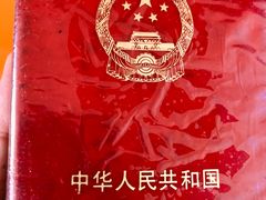 -大湾区中央湿地公园
