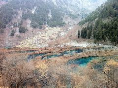 -九寨沟-树正沟