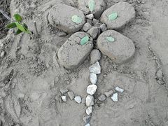 -杭州城北体育公园