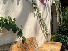 -村上春树