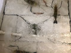 -湾里人家(旺山景区店)