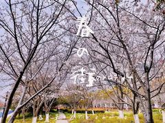 -高东镇樱花园