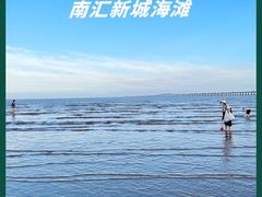 -南汇新城海滩