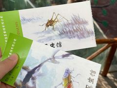 -上海大自然野生昆虫馆