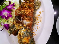 -光海鲜鱼翅餐厅(叻差拉披色路店)