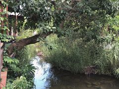 -水底山庄园温泉