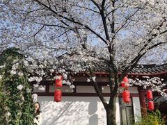 -神光山国家森林公园