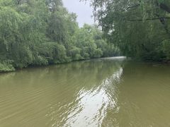 -大湾区中央湿地公园
