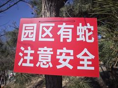 -白水寺森林公园