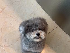 -瑞派申生动物医院·24H夜诊·国际动物医疗中心·骨外科(吴中路店)