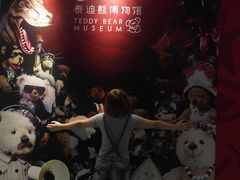 -成都泰迪熊博物馆