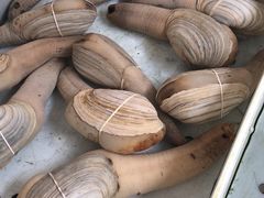 -南沙十九涌渔人码头-南门