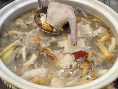 五指毛桃药膳鸽-鸽鸟轩(石岐店)