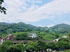 -龙井村