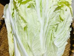 大白菜-重庆渝达老火锅(春熙路店)