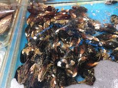 -盒马鲜生(曜一城店)
