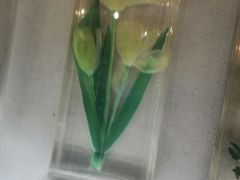 -青藏高原自然博物馆