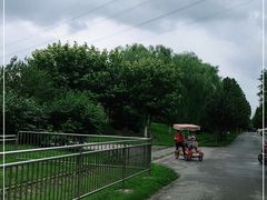 -永定河休闲森林公园