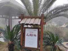 -咸宁万豪温泉谷度假区