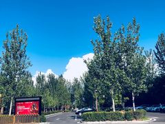 -阿斯牛牛十二餐厅•四季餐厅(民族大道店)