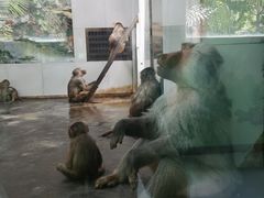 -西安秦岭野生动物园