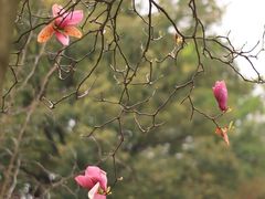 -蒋经国旧居