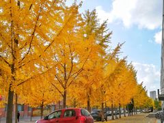 -东北大学(南湖校区)