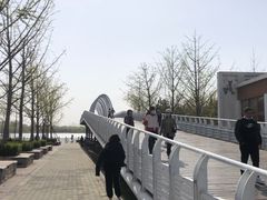 -大兴滨河森林公园