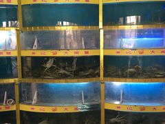 -黄记大闸蟹专卖店·活蟹·醉蟹