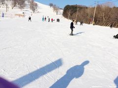 -神鹿雪场