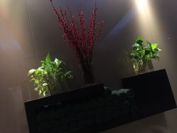 -史云逊养发护发