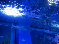-常州海昌海洋探索馆