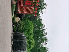 -合肥滨湖国家森林公园