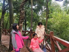 -广州市石门国家森林公园