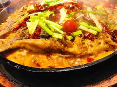 -老板恋上鱼(高新万达店)
