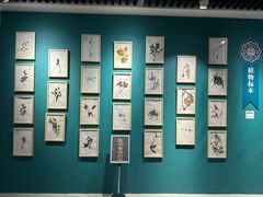 -迪庆藏族自治州博物馆