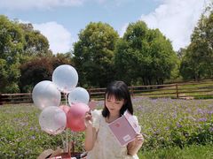 -秀丽东方