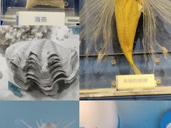 -温州博物馆