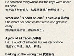 -菠萝国际教育专注Alevel·IGCSE·IB·AP·托福雅思培训辅导(静安校区)