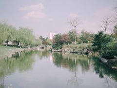 -日出青木·杭帮菜名店