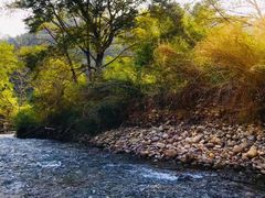 -九曲溪竹筏码头