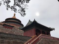 -磬锤峰森林公园