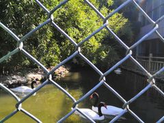 -石家庄市动物园