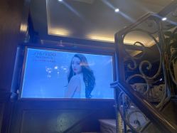 -BOJUE·铂爵造型烫发·染发