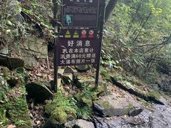 -藏龙百瀑风景区