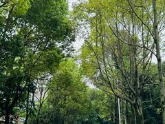 -成都工业学院(郫都校区)