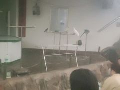 -南戴河国际娱乐中心