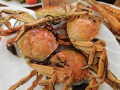-禾斗海鲜自助(城阳宝龙店)