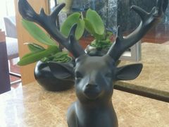 -视界美食自助餐厅·石家庄希尔顿酒店