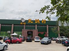 -石岐乳鸽村(南海第三分店)